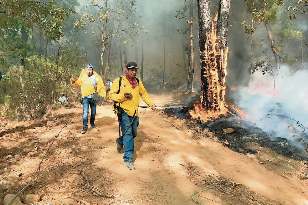 Comuneros, los héroes que con carencias combaten incendios forestales