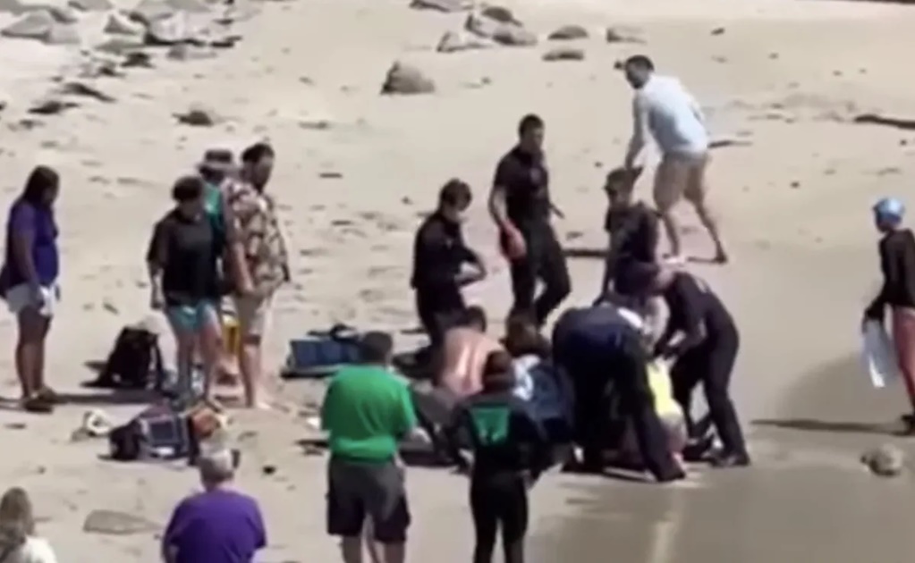 VIDEO. Tiburón blanco ataca a surfista en California: turistas lo salvan tras escuchar sus gritos