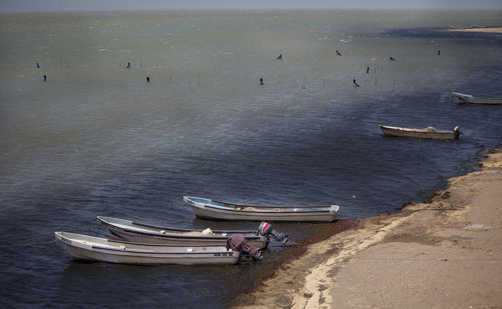 Contaminan con aguas negras 35 mil héctares de la Laguna Superior en Oaxaca
