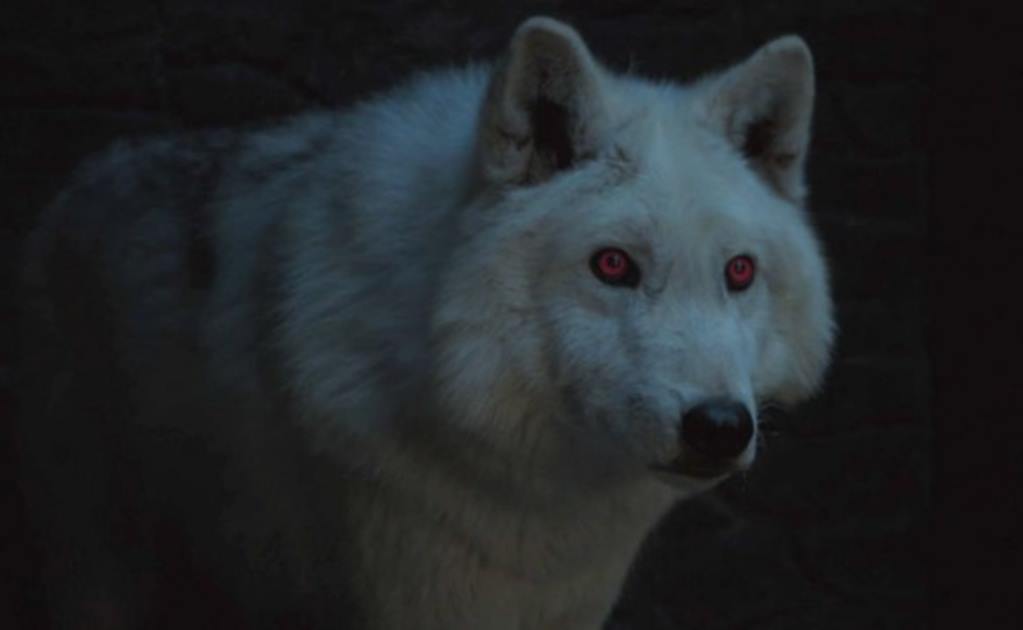 ¿Qué pasó con Ghost, el lobo huargo de Jon Snow?
