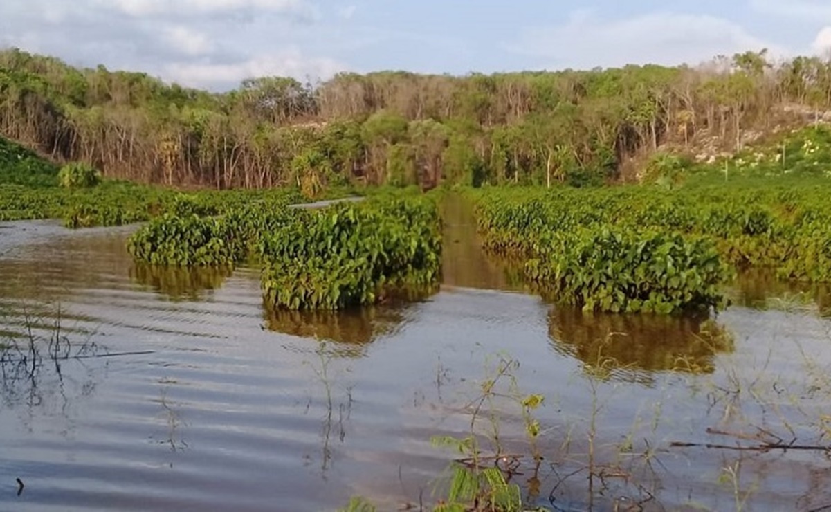 Tormenta tropical “Cristóbal” deja daños agrícolas y en viviendas de Yucatán