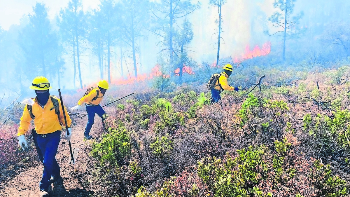 Diez incendios forestales pegan a Sierra Tarahumara 