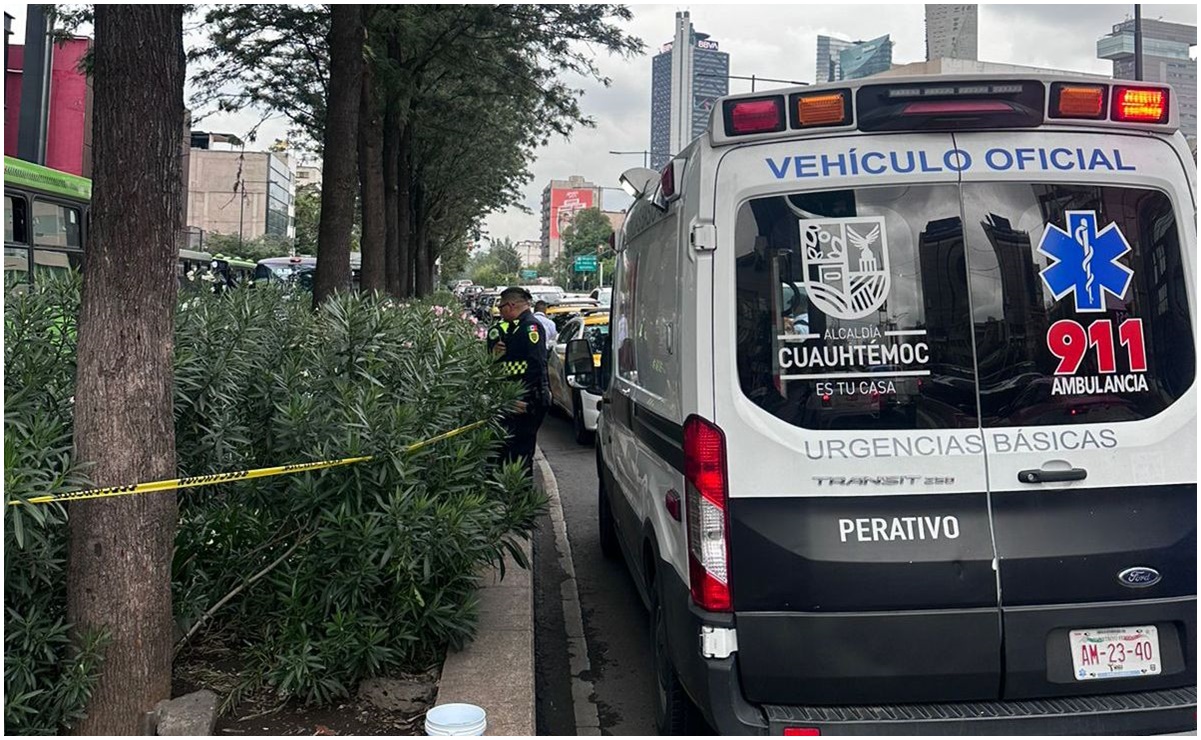 Hallan cuerpo entre matorrales de avenida Chapultepec; reportes indican que presenta lesiones por arma blanca, ¿qué pasó?