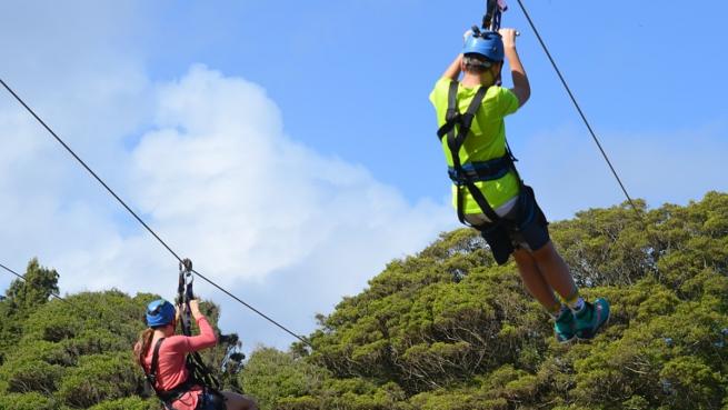 Recorre las mejores atracciones de Hawái con un tour en tirolesa