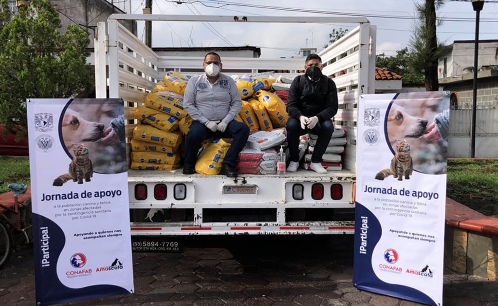 UNAM donates 33 tonnes of pet food in Mexico City