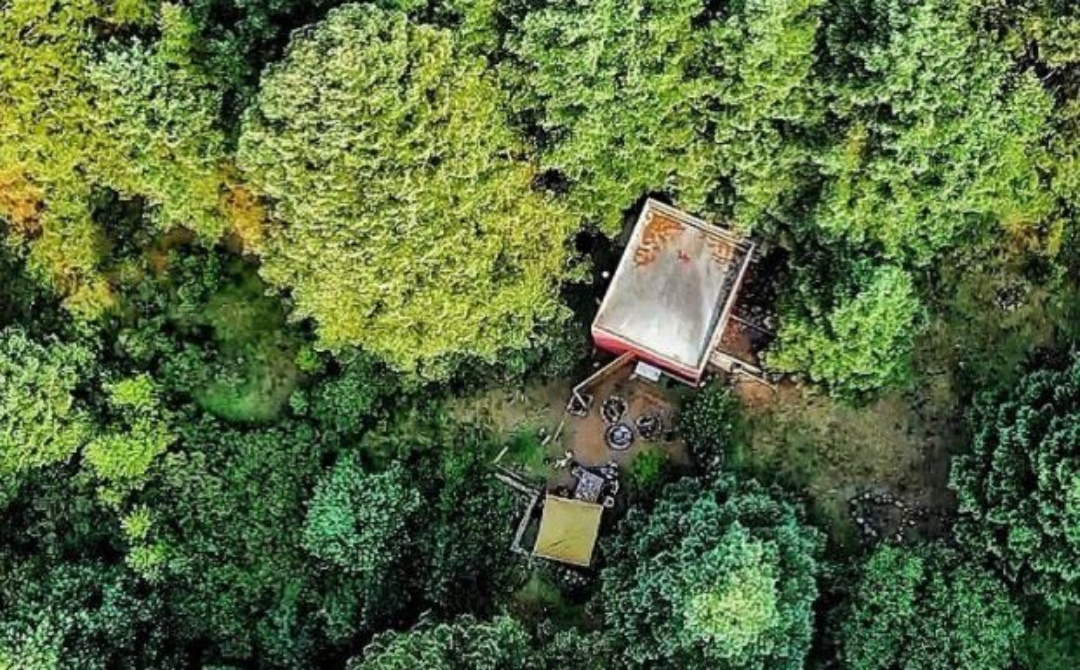 Cubo: experiencia inmersiva en un bosque del Estado de México