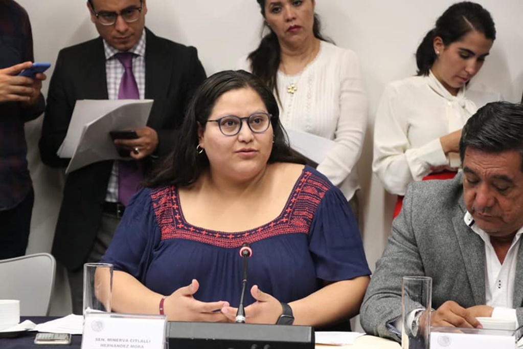 Senadores de Morena condenan expresiones discriminatorias de Salinas Pliego contra Citlalli Hernández