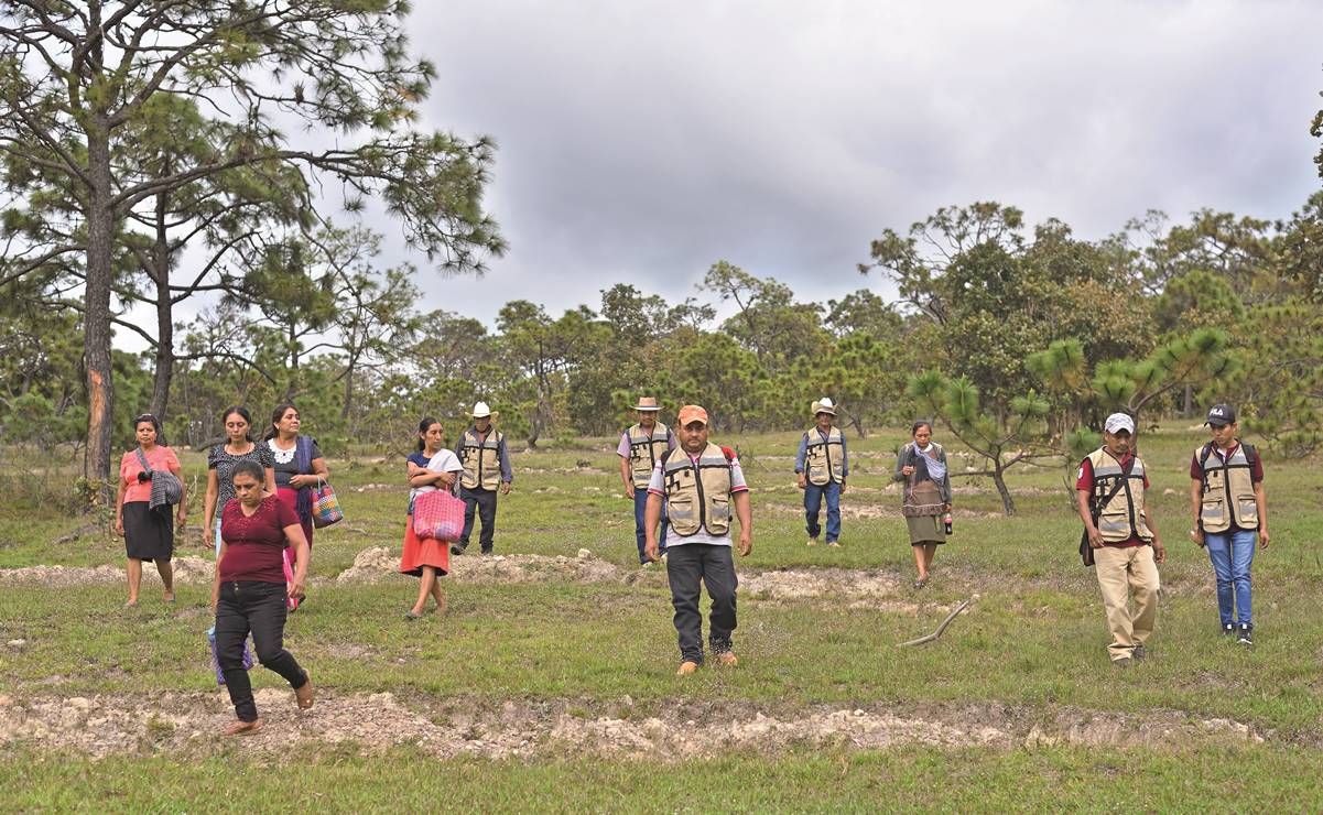 Juntos "Camaleones" y "Guardianas" protegen bosques