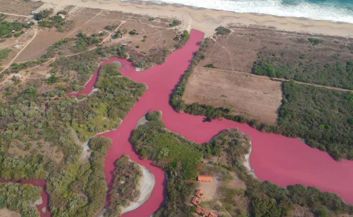 Se ve bonito pero es dañino: Se tiñen de rosa aguas de la laguna La Salina en Oaxaca