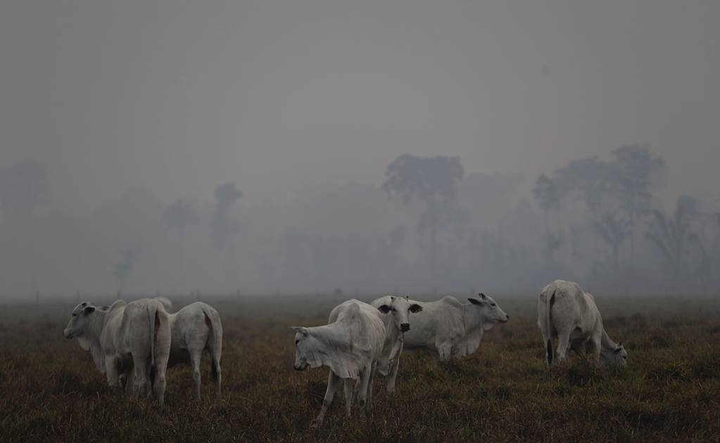Días sin sol y problemas respiratorios, así se vive por los incendios en la Amazonia