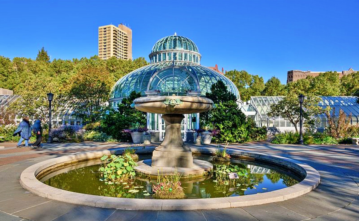 Jardín Botánico de NY ofrece clases en línea de jardinería y arte 