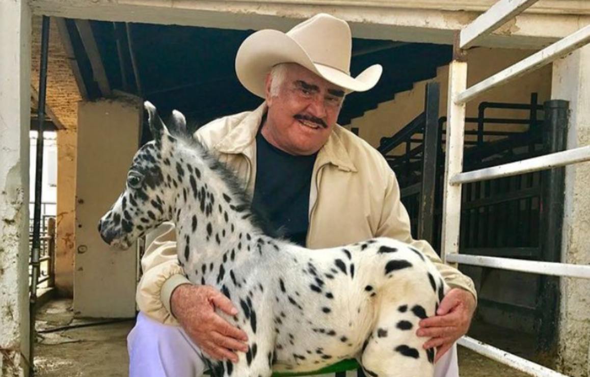 El exitoso negocio de Vicente Fernández con los caballos miniatura