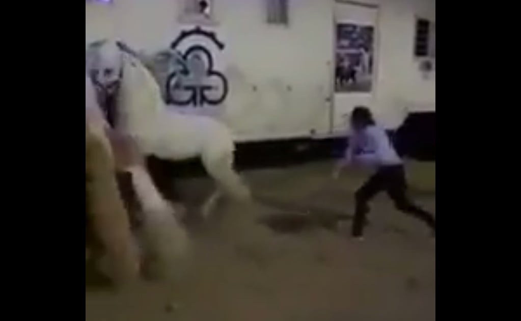 Video. Rejoneador golpea a caballo