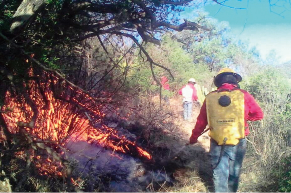 Mantienen alerta  por incendios forestales; van 45 en Hidalgo