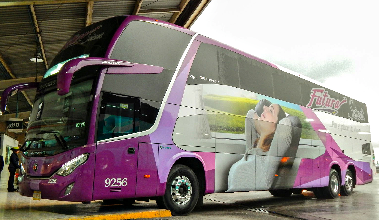 Autobuses en línea