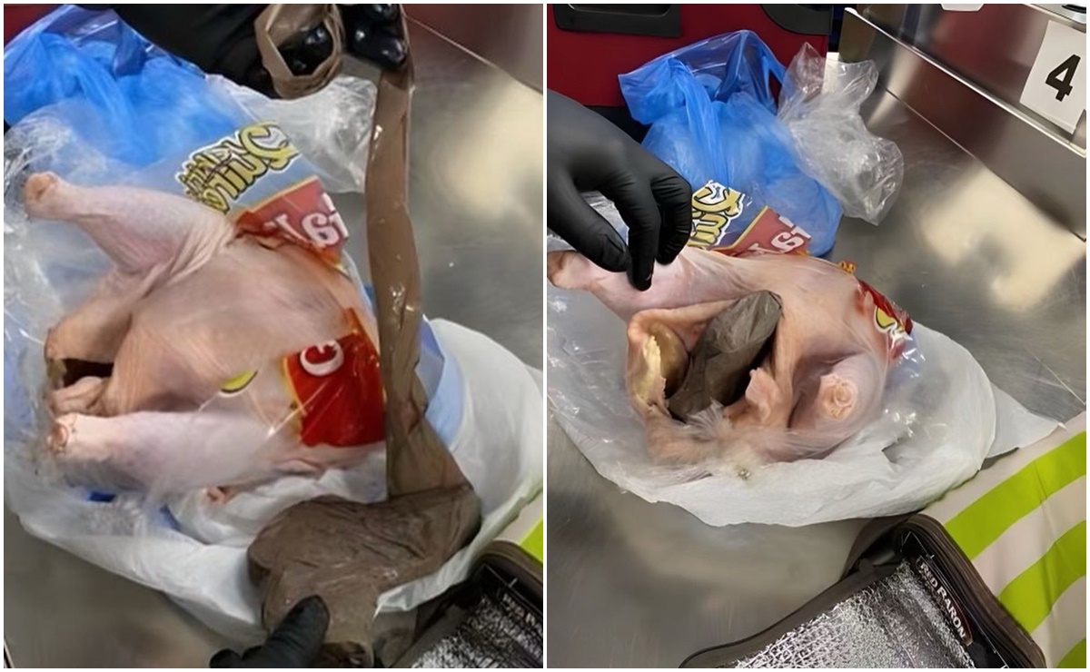 Pasajero esconde arma dentro de pollo crudo en aeropuerto de Florida 