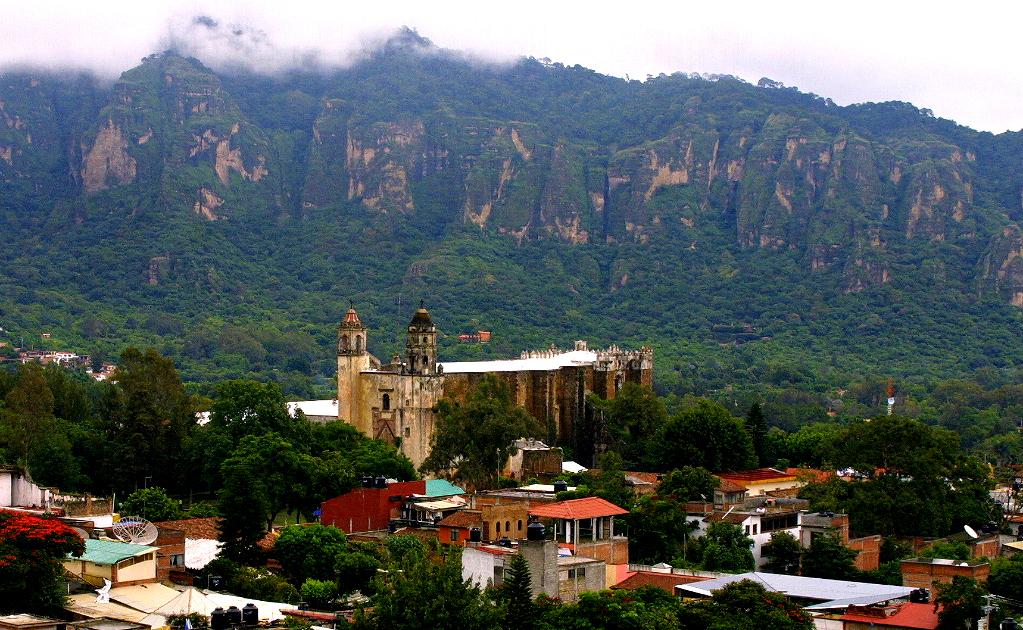 Liberan 58 ejemplares de la vida silvestre en Tepoztlán