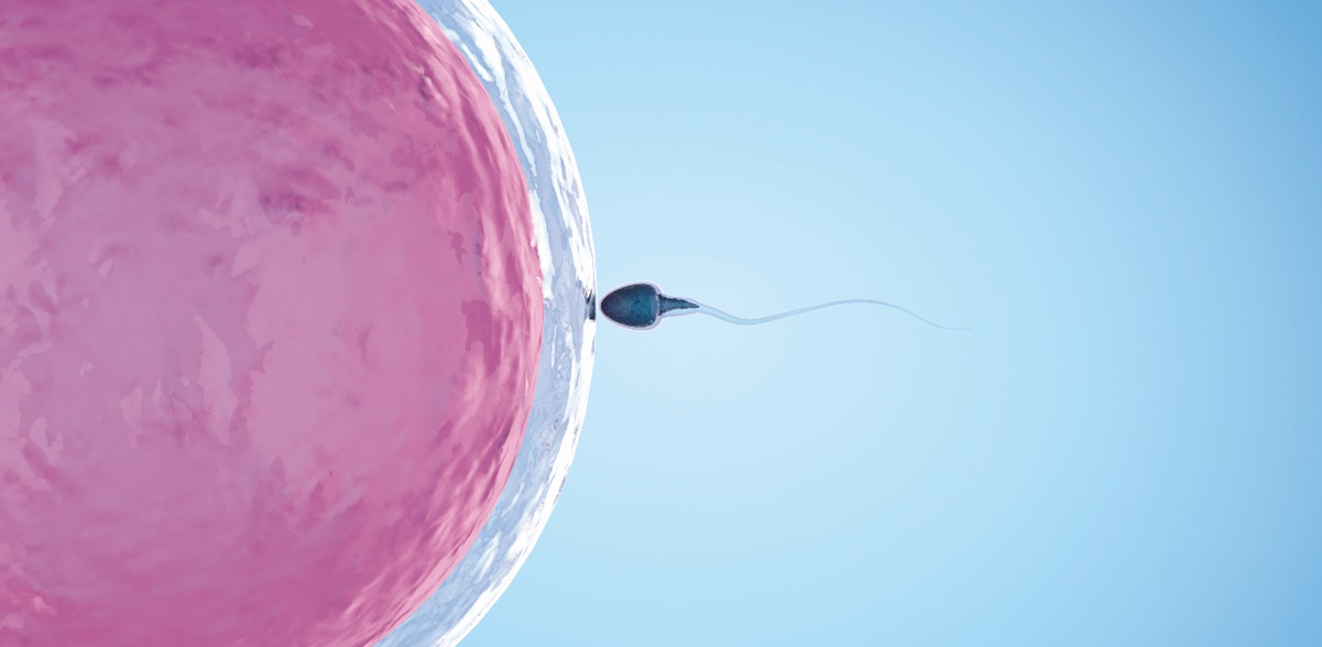 Espermatozoide, incapaz de producir un embarazo, en el momento del acto sexual
