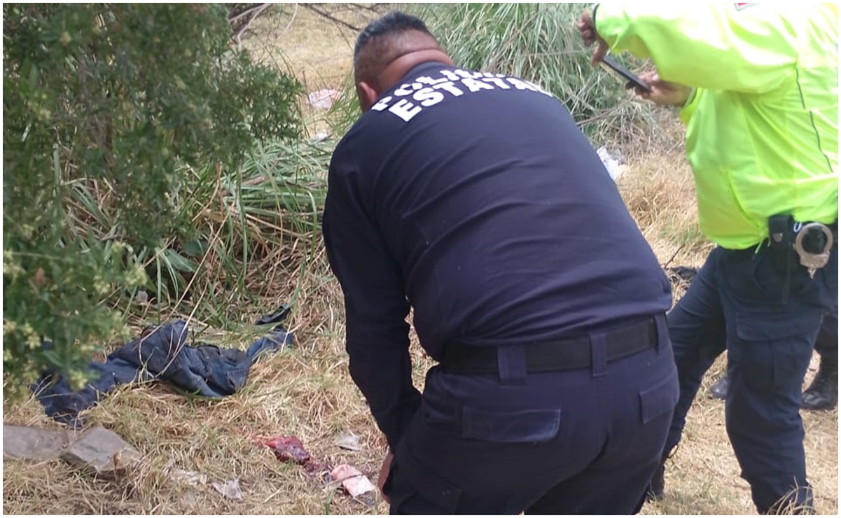 Abandonan a recién nacida en camellón de Metepec; autoridades buscan a sus padres