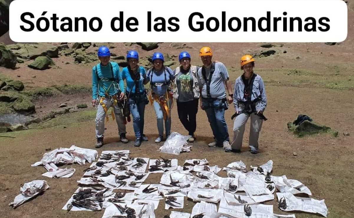 Ambientalistas denuncian a empresa hotelera por contratar helicópteros y causar la muerte de aves al sobrevolar el Sótano de las Golondrinas