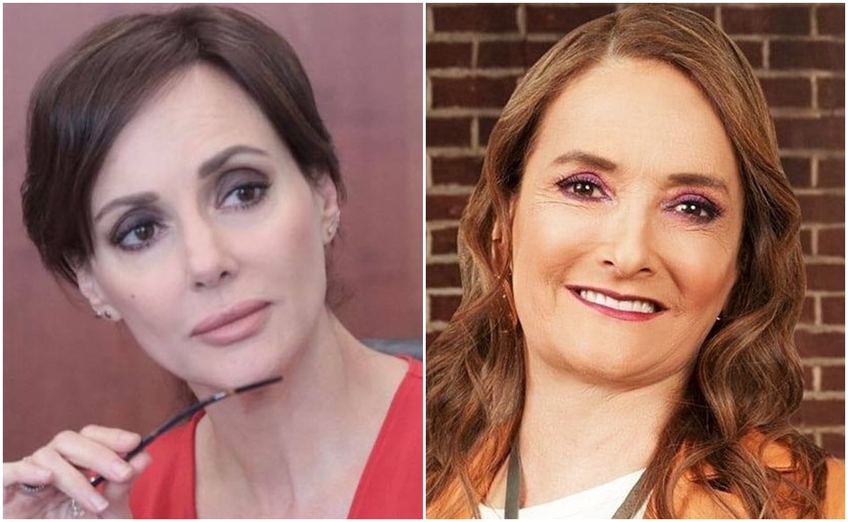 “Fue de tiburón a sardina”: Lilly Téllez y Patricia Armendáriz chocan por Ordaz en equipo de AMLO