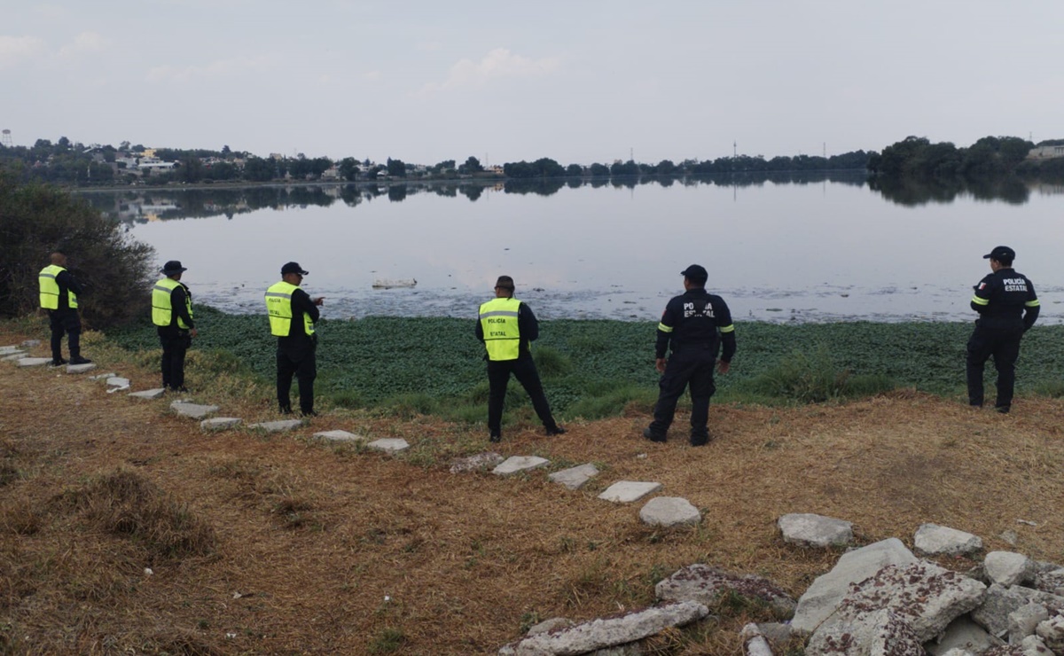 Aumentan vigilancia en Laguna La Piedad en Cuautitlán Izcalli por presencia de cocodrilo