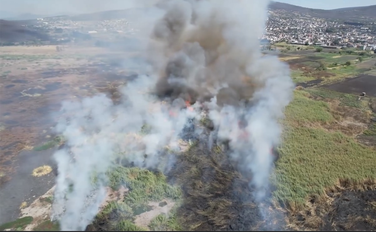 Fuego consume lirio y pasto seco en la Laguna de Yuriria en Guanajuato; humo se ve a kilómetros