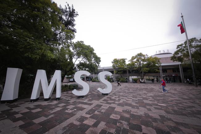 Lanza IMSS convocatoria para delegados estatales