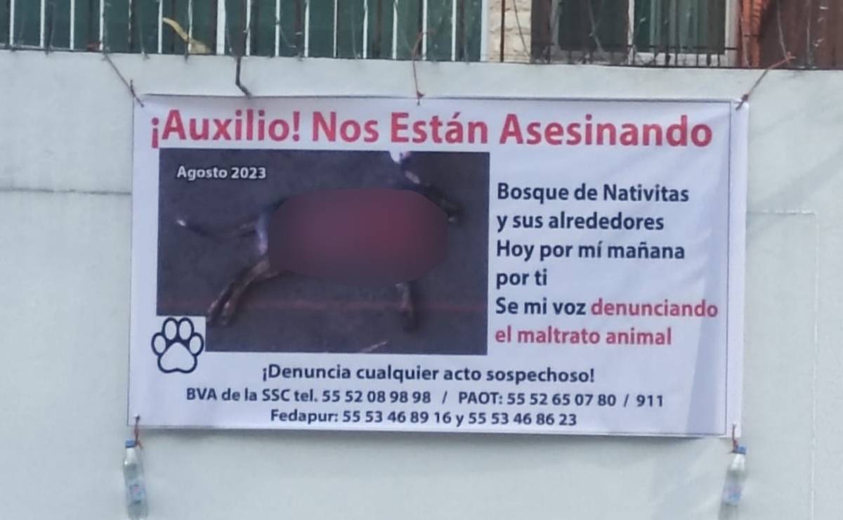 AMLO pide a Martí Batres atender sacrificio de perros en Bosque de Nativitas