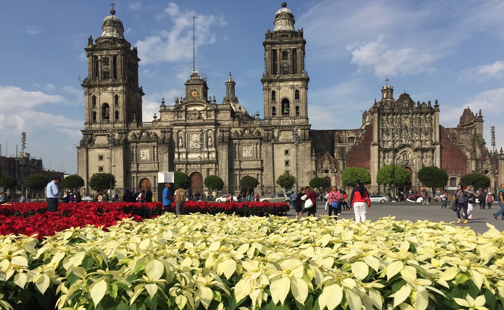 Poinsettias invade Mexico City
