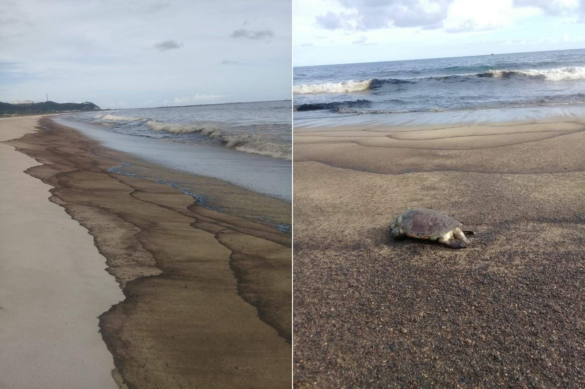 Reportan nuevo derrame de petróleo en playas de Oaxaca