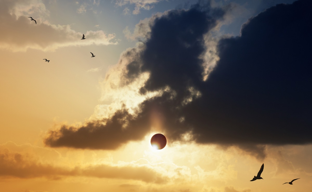 Dónde y a qué hora se verá el Eclipse Total Solar 2024 en Estados ...