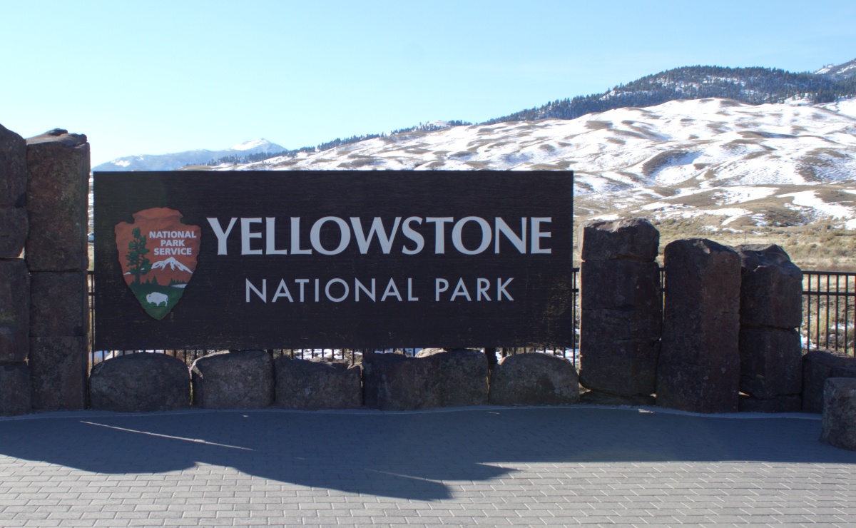 Hallan cuerpo de turista tras tener encuentro con oso en Parque Nacional de Yellowstone