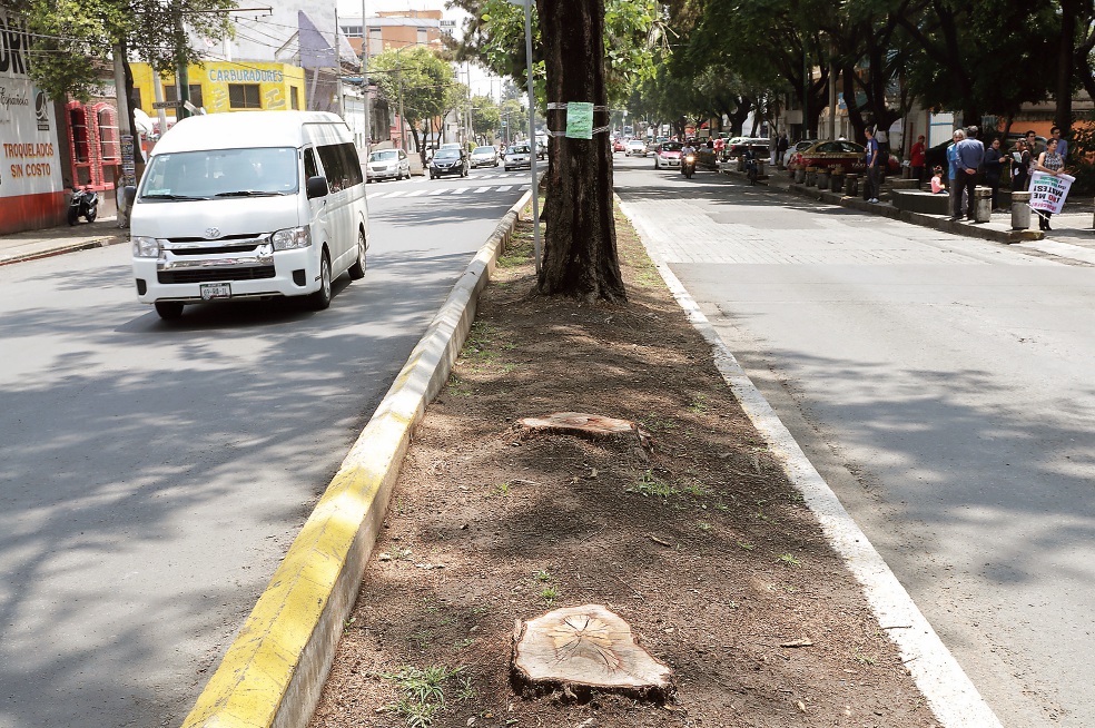 Plantean plan para “recuperar” Reforma y Misterios por L7 del Metrobús