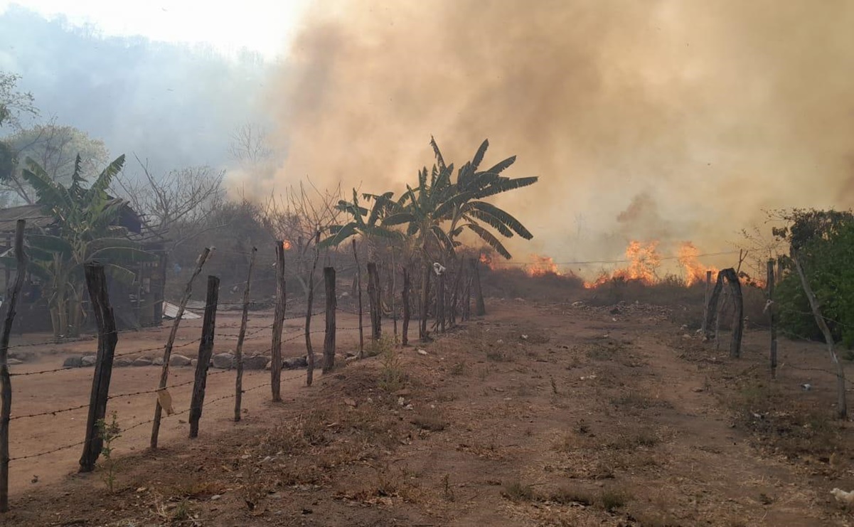 Muere segundo brigadista tras quedar atrapado en incendio forestal en Concordia, Sinaloa