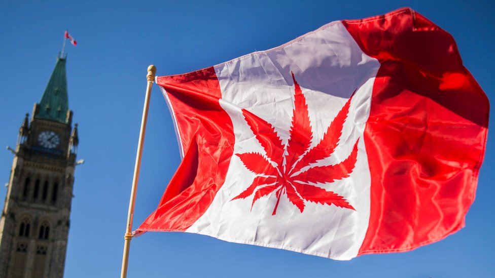 Cannabis legal en Canadá: escasez en los primeros días de consumo legal 