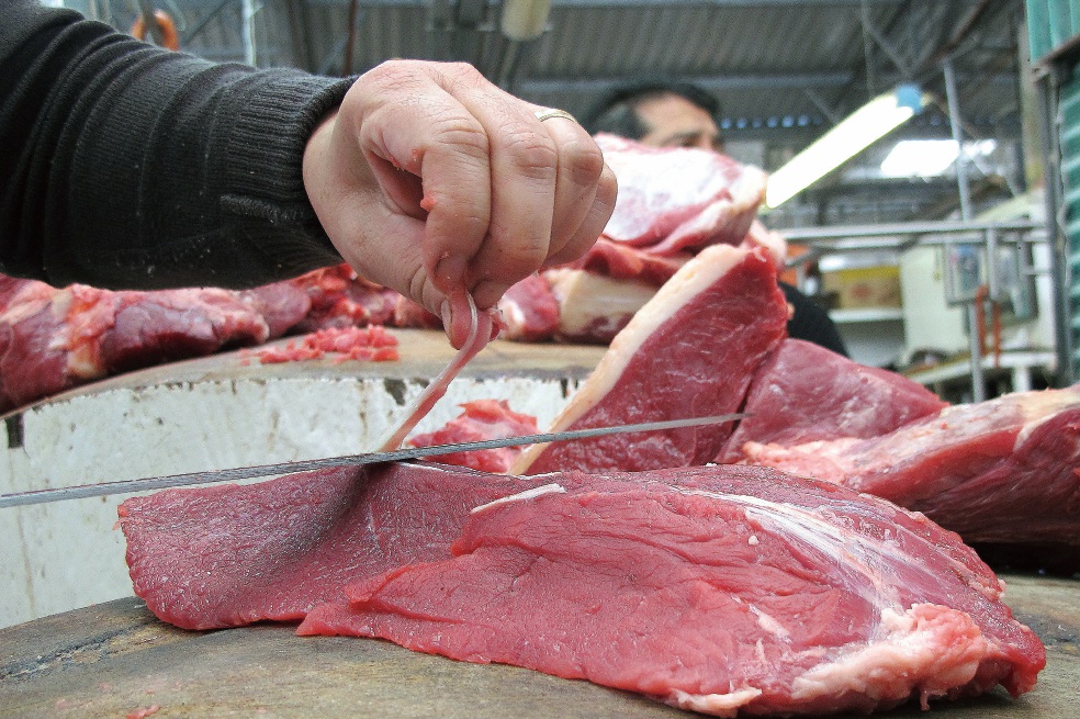 “Consumir carne de caballo no daña la salud”
