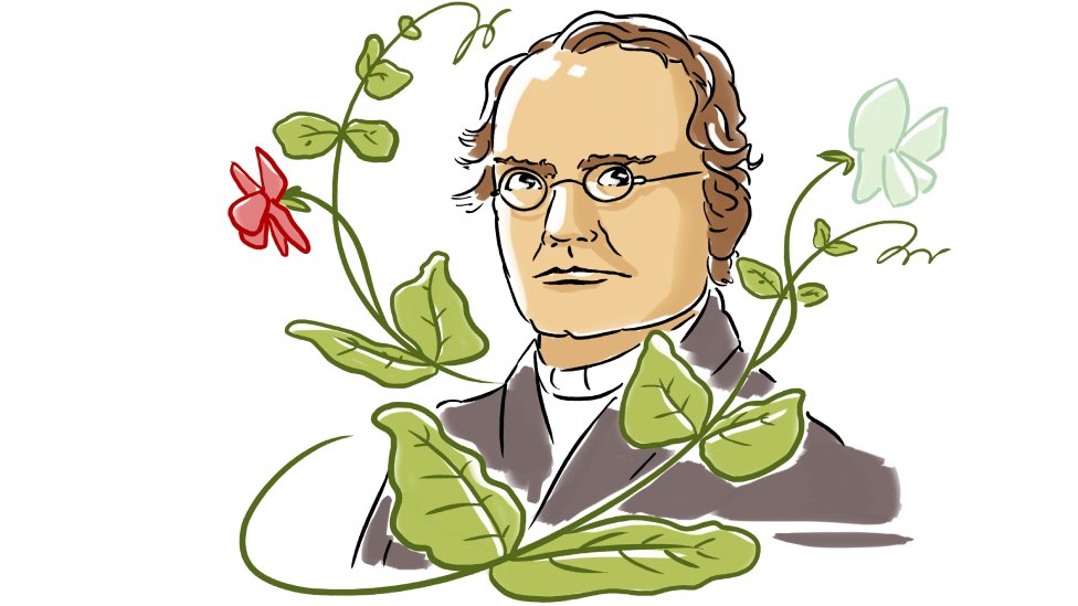 Gregor Mendel: cómo un monje descubrió las leyes de la herencia genética en un jardín