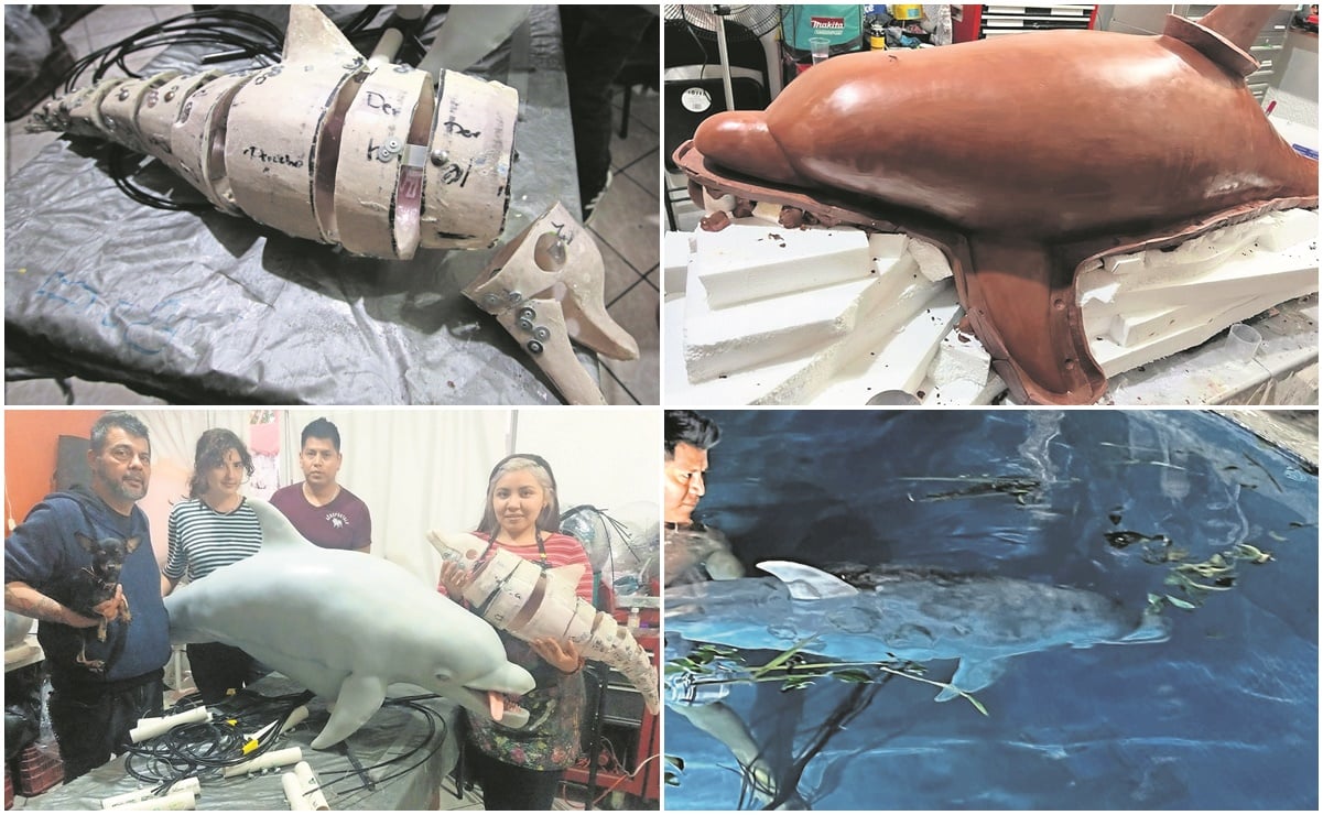 Delfines robot elevan la apuesta del cine mexicano