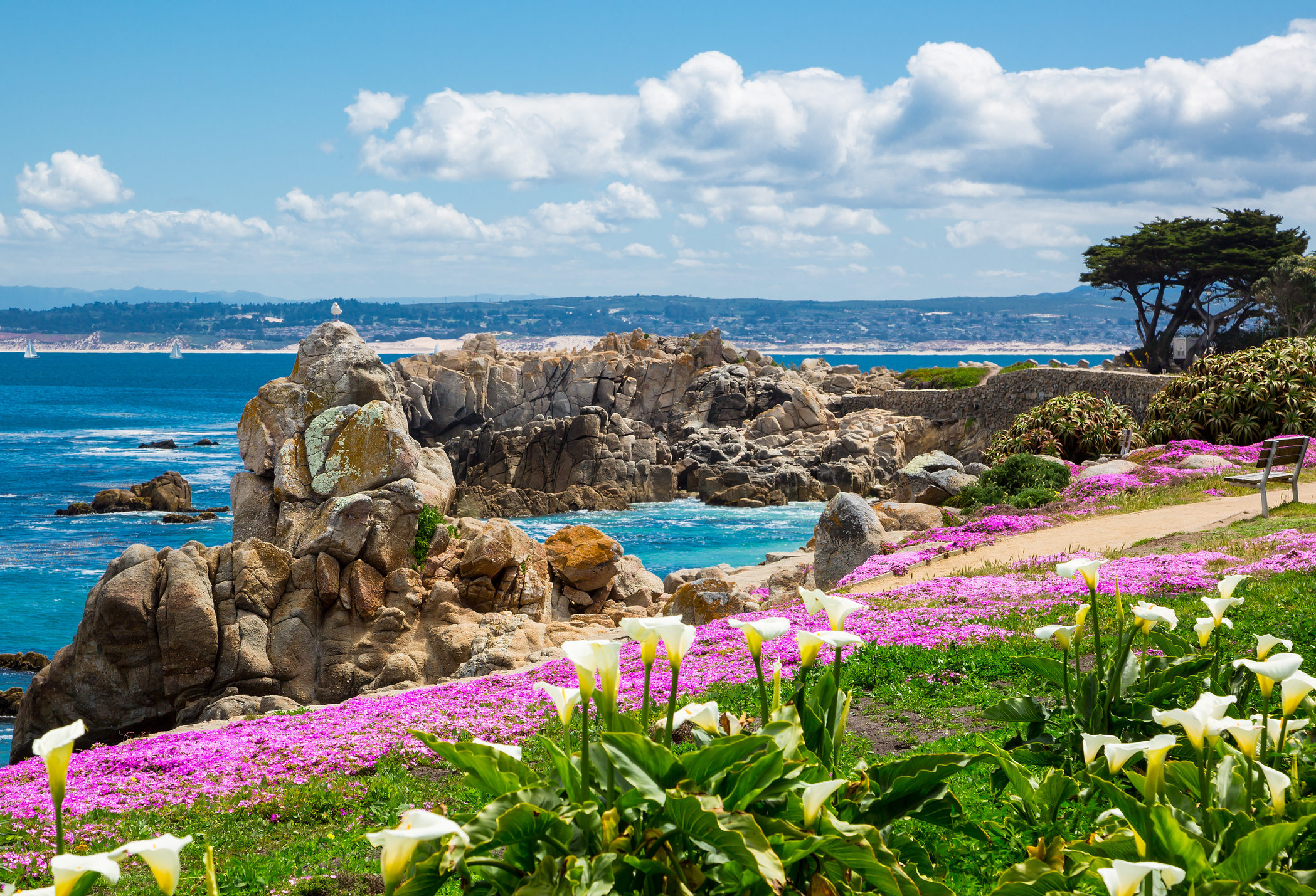 Viaje por la costa de California: una inmersión a la naturaleza y al mejor vino de Estados Unidos 