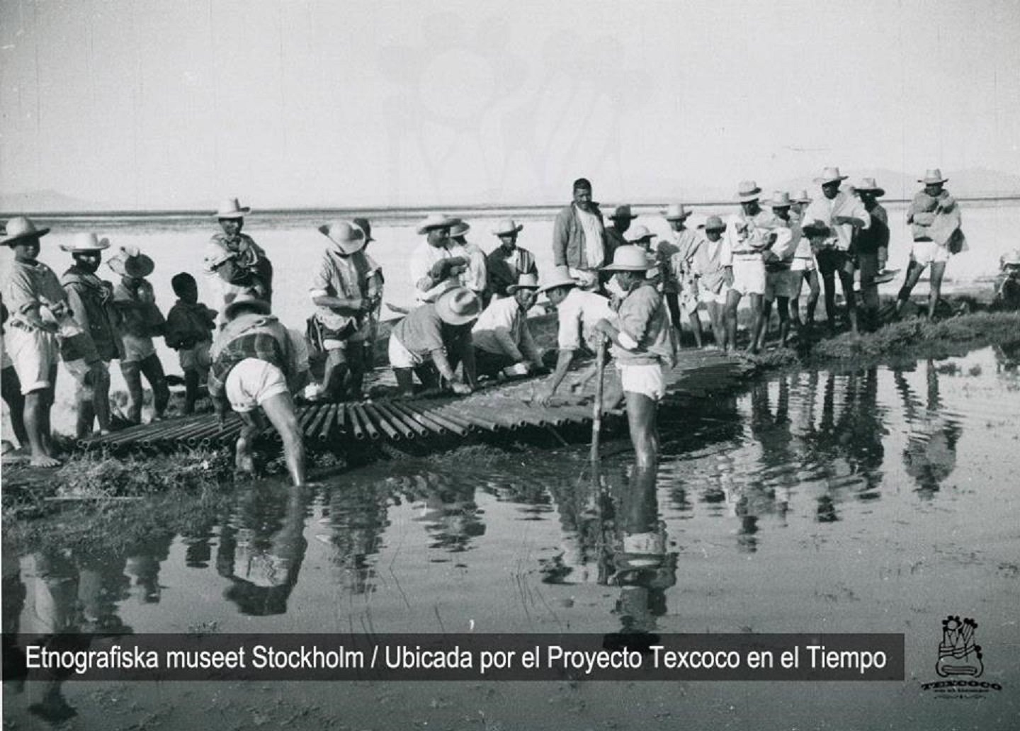 Lago de Texcoco: De pulmón a desierto de sal
