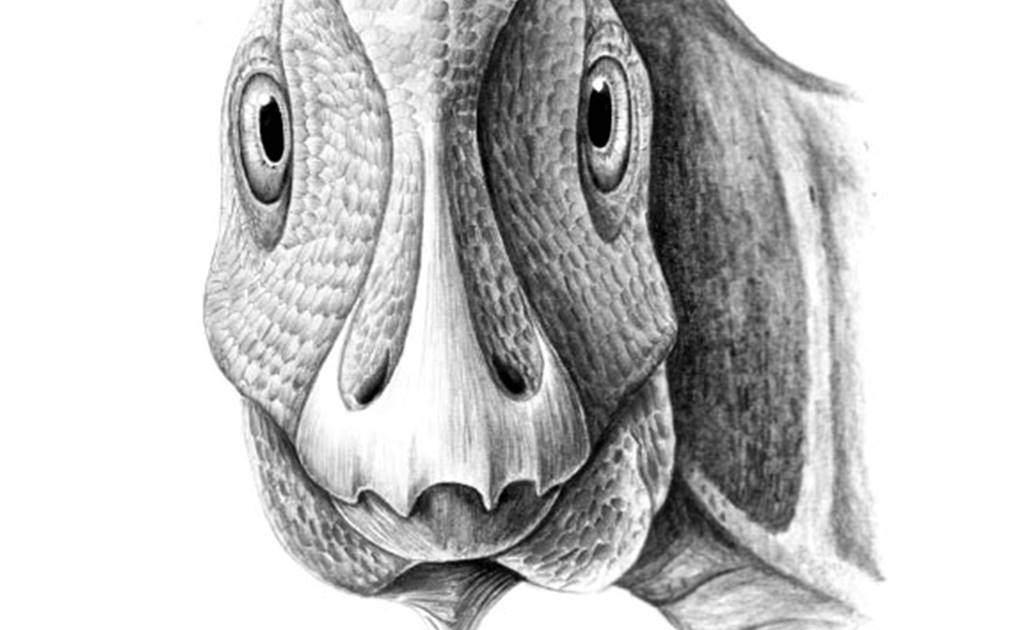 Hallan el primer tumor fosilizado de dinosaurio