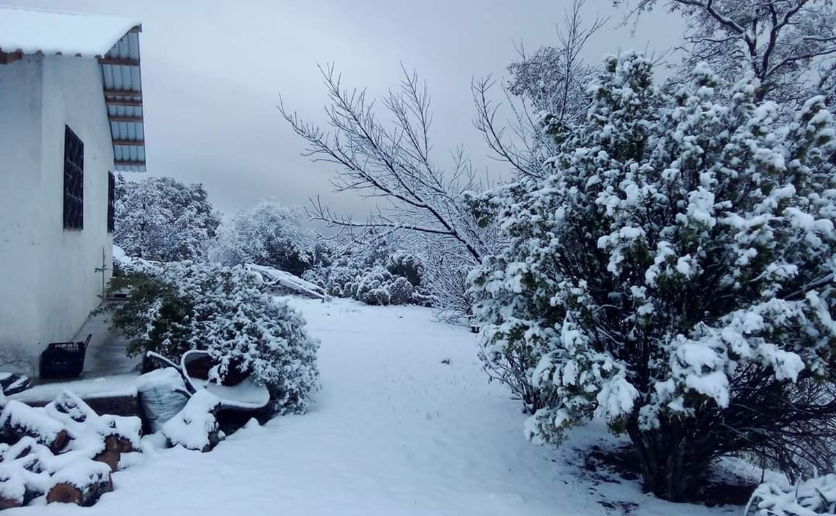 Por novena tormenta invernal, nieve “pinta de blanco” 3 municipios de Chihuahua