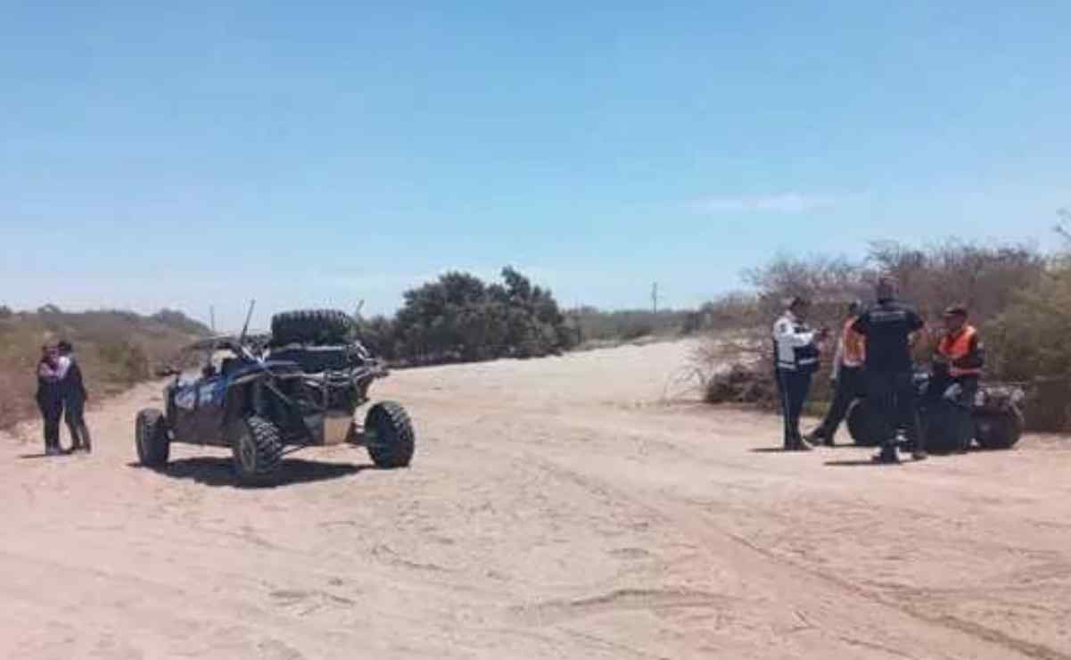 Frenan amenaza a nidos de tortuga en Yucatán; decomisan dos vehículos en zona de anidación