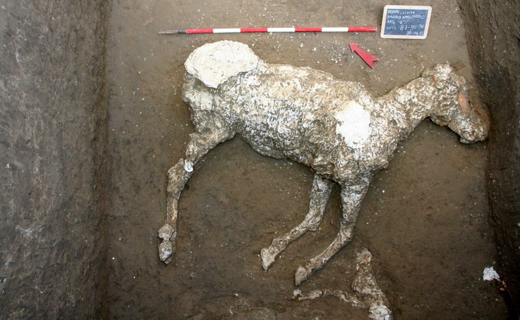 Un caballo engalanado hallado en Pompeya