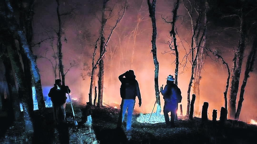 Prevalecen incendios; devastan bosques