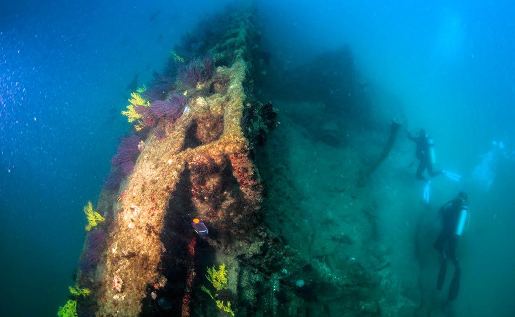 Registran submarino de la Primera Guerra Mundial en costas mexicanas