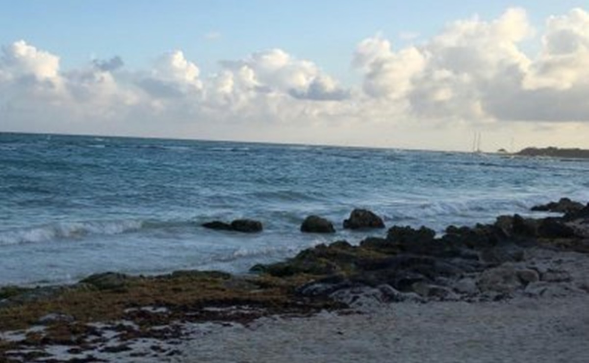 Frentes fríos generan arribazón de sargazo en costa norte de Yucatán