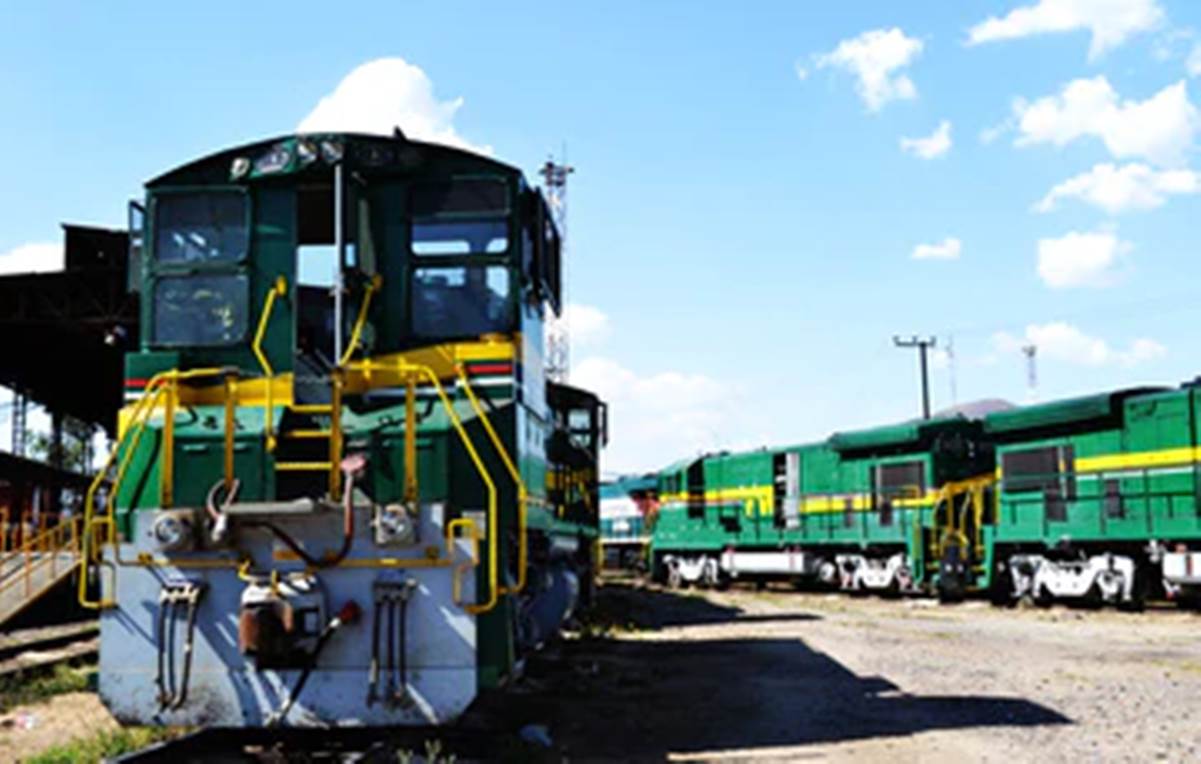 Cofece investiga prácticas anticompetitivas en transporte ferroviario de carga