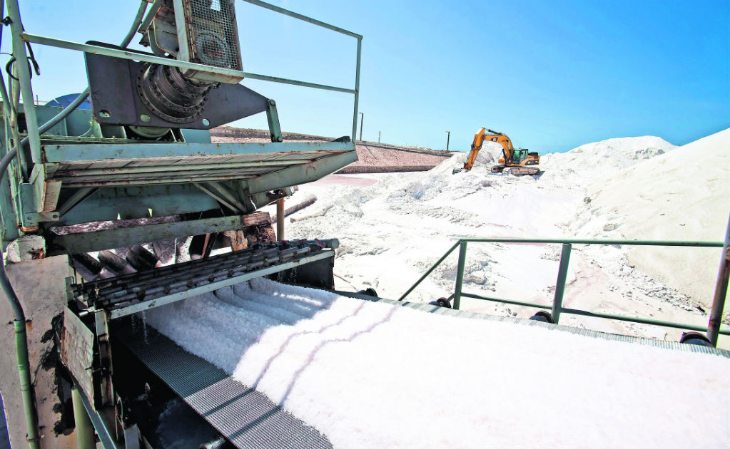 Cofece investiga prácticas monopólicas en el mercado de la sal